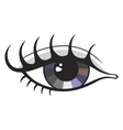 Eye vector image
