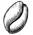 Coffee bean vector image