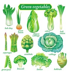 Green vegetables vector image