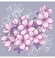 Cherry blossom vector image