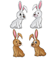 Four rabbits vector image