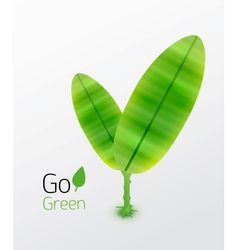 Green plant with leaves nature concept vector image