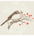 Love bird vector image