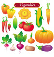 Vegetables vector image