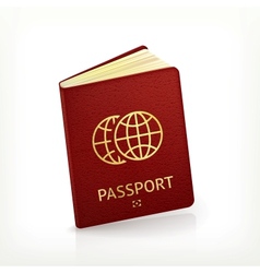 Passport vector image