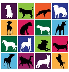 Dog set vector image