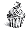 Creamy cup cake with delicious berry vector image