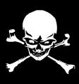 Pirate vector image