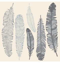 Feather Set vector image