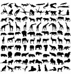 Animals vector image