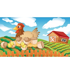 A hen and chicks vector image