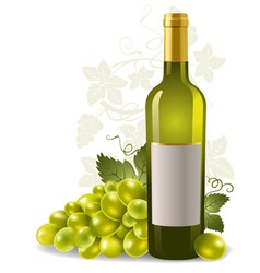 Wine bottle and grape vector image