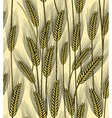 Seamless wheat ears background vector image