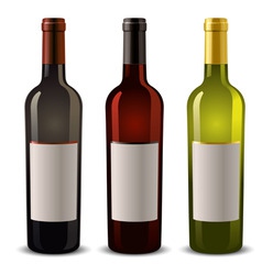 Wine bottles vector image