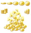 Golden coin vector image