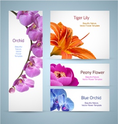 Flower Templates vector image
