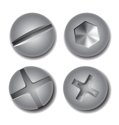 Set of screws and bolts on white background vector image