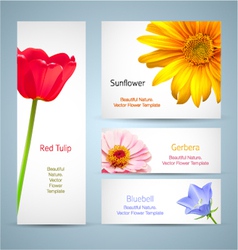 Flowers Design vector image