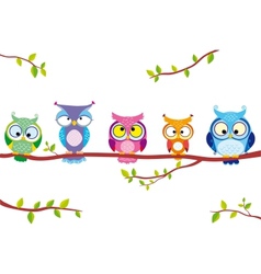 Owl five vector image