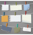 Various notes and a clothes pegs vector image