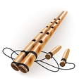 Ethnic bamboo flute vector image
