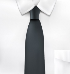 Shirt and tie illustration vector image