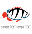 Fish Fish vector image