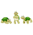Turtles vector image