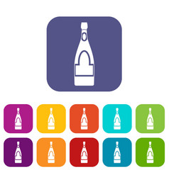 Champagne bottle icons set flat Champagne bottle icons set flat vector image