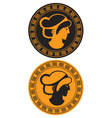 Drawing on amphora vector image