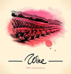 Watercolor hand drawn wine vintage background vector image
