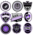 Classic sport emblem badge set vector image