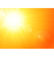 Vibrant hot summer sun vector image