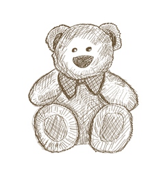 Teddy bear vector image