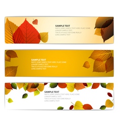 Fresh natural vector image