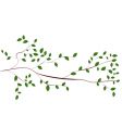 Tree branch vector image