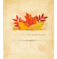 Autumn background with leaves vector image