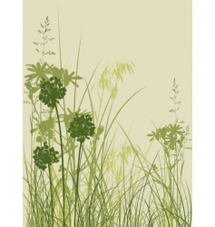 Floral background vector image