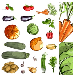 Fresh Vegetables Green Collection vector image