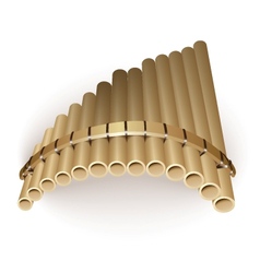 Pan flute vector image