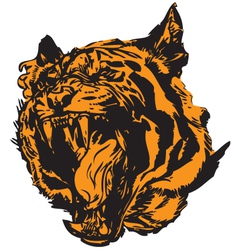 Abstract tiger vector image