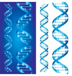 Dna chains vector image