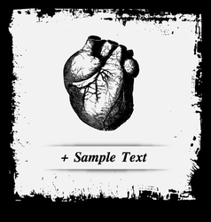 Paper art Human Heart vector image