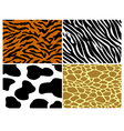 Tiger zebra cow and giraffe print vector image