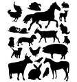 Domestic animals vector image