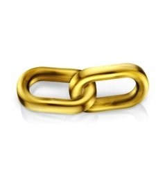 Chain link vector image