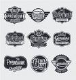 Retro vintage label Set vector image