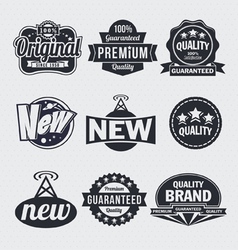 Retro vintage labels vector image