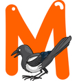 M for magpie vector image