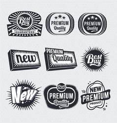 Retro vintage labels vector image